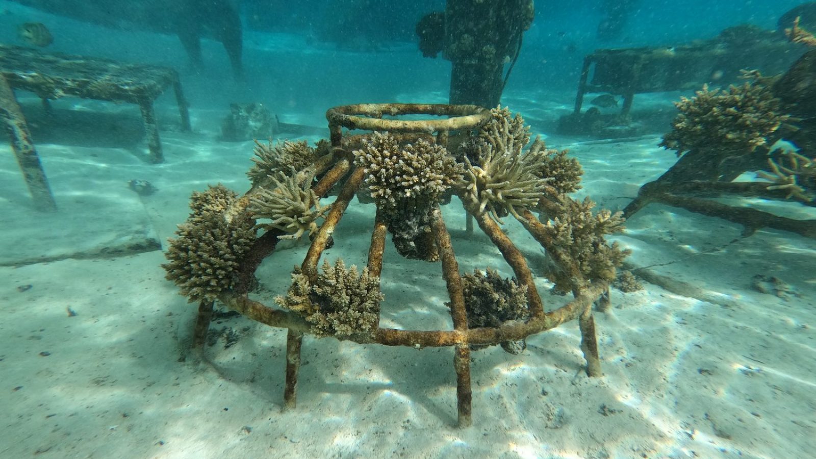 DCIM100GOPROGOPR1030.JPG DCIM100GOPROGOPR1030.JPG