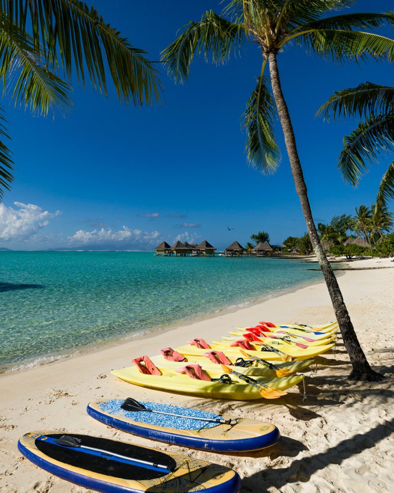 Moana_300618_1647_web©RomeoBalancourt Moana_300618_1647_web©RomeoBalancourt
